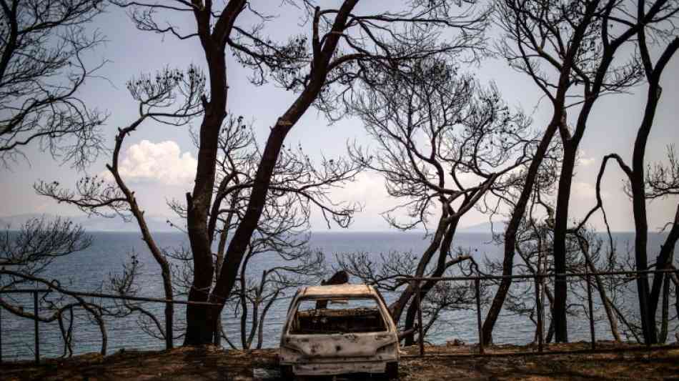 Griechischer Vize-Minister reicht nach verheerenden Waldbr