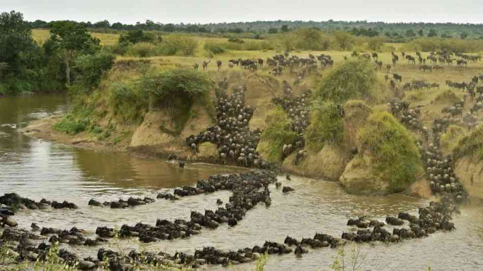 Stuttgarter Forscher schlagen Alarm wegen Bedrohung der Serengeti