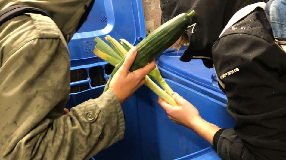 Verfassungsbeschwerde gegen Strafbarkeit des "Containerns" erwartet