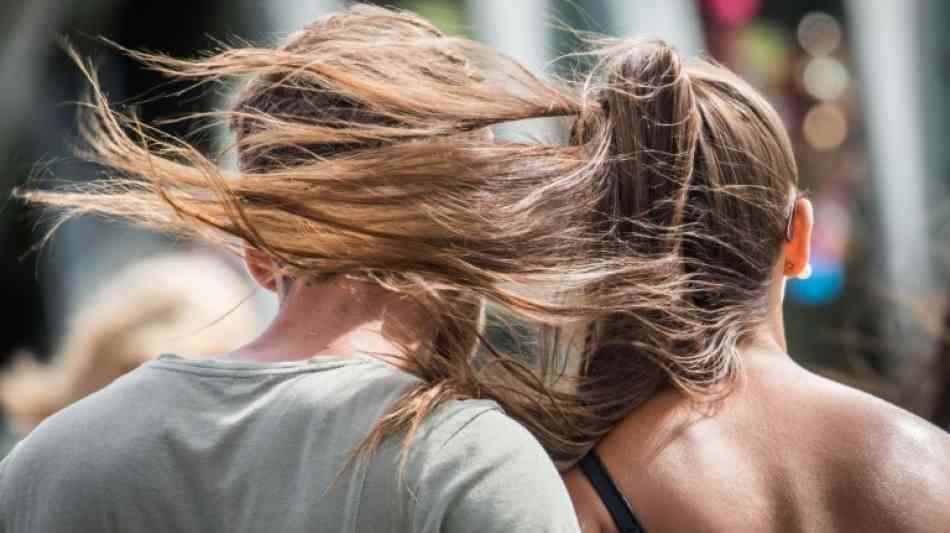 Testsieger bei Anti-Schuppen-Shampoos kommt vom Discounter