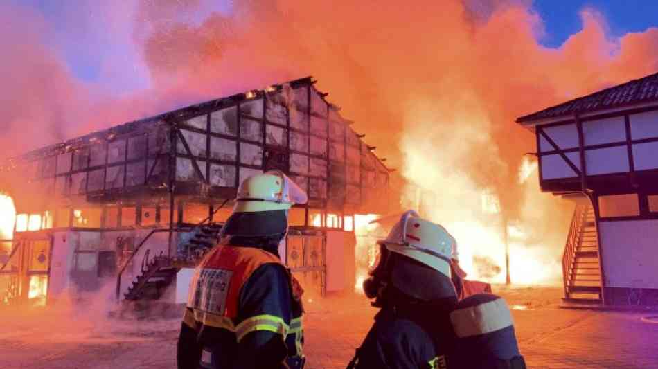 Fünf Pferde verenden bei Brand in hessischem Gestüt 