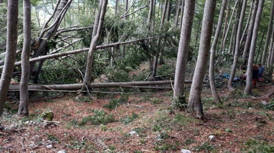 Drei Unwettertote in Norditalien - ein Belgier unter den Opfern