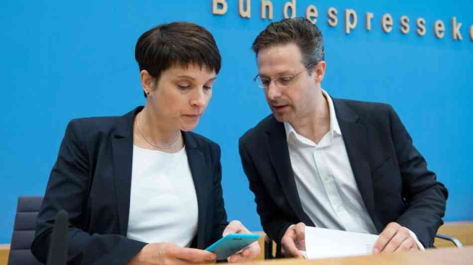 Berlin: AfD-Abtrünnige sondieren politischen Neuanfang