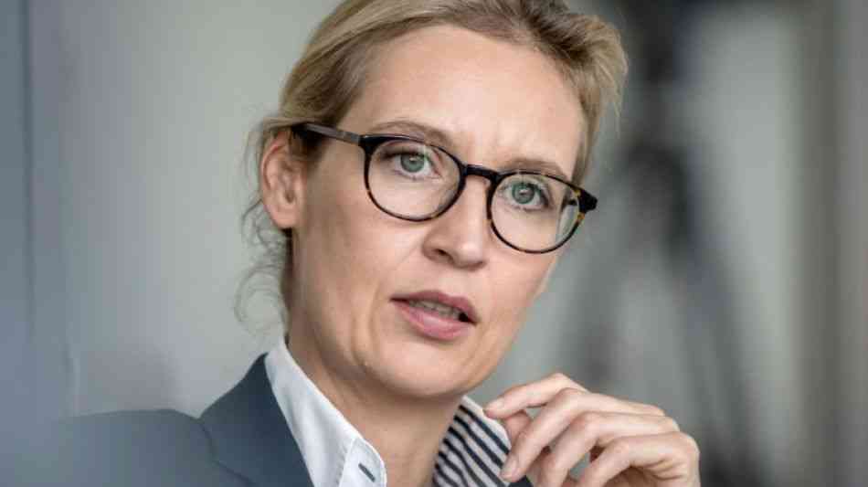 Staatsanwaltschaft strebt Verfahren gegen Weidel an