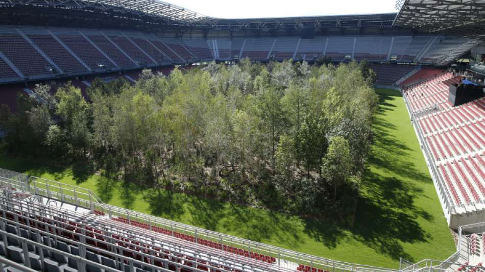 Künstler macht aus Wörthersee-Stadion in Österreich einen Mini-Wald