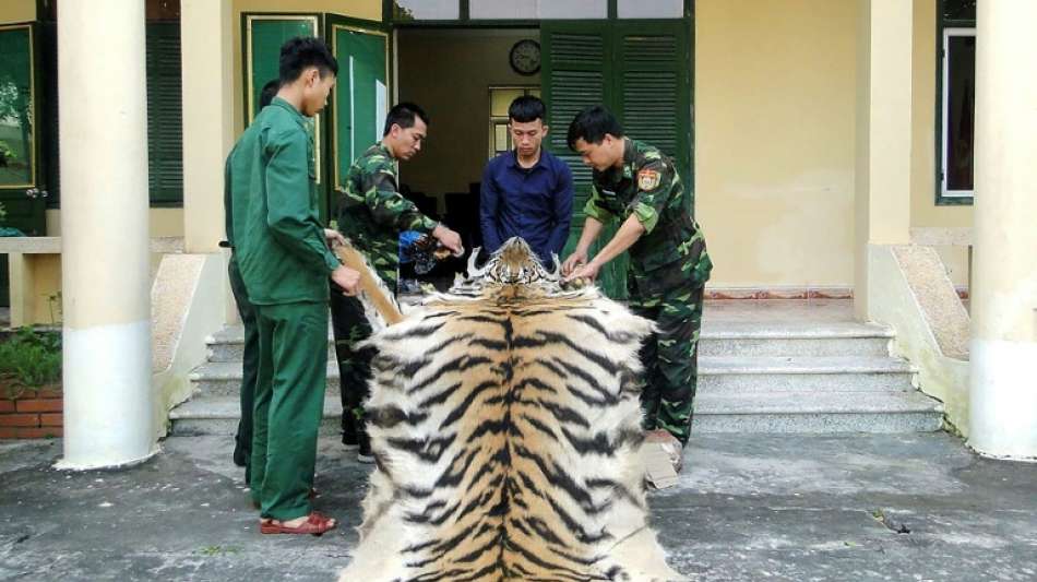 Vietnamese wegen Schmuggels von Fell und Knochen eines Tigers festgenommen