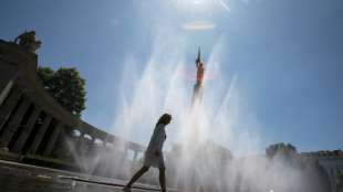 Unwetter in Österreich zerstört 12.000 Hektar Land