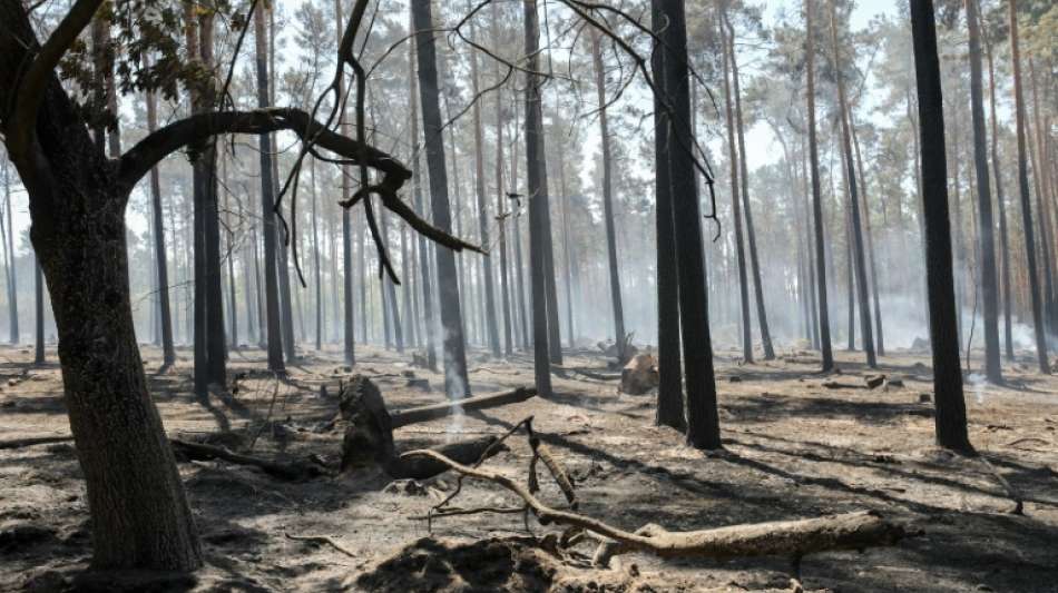 Blitzeinschlag führt zu Waldbrand in Osthessen