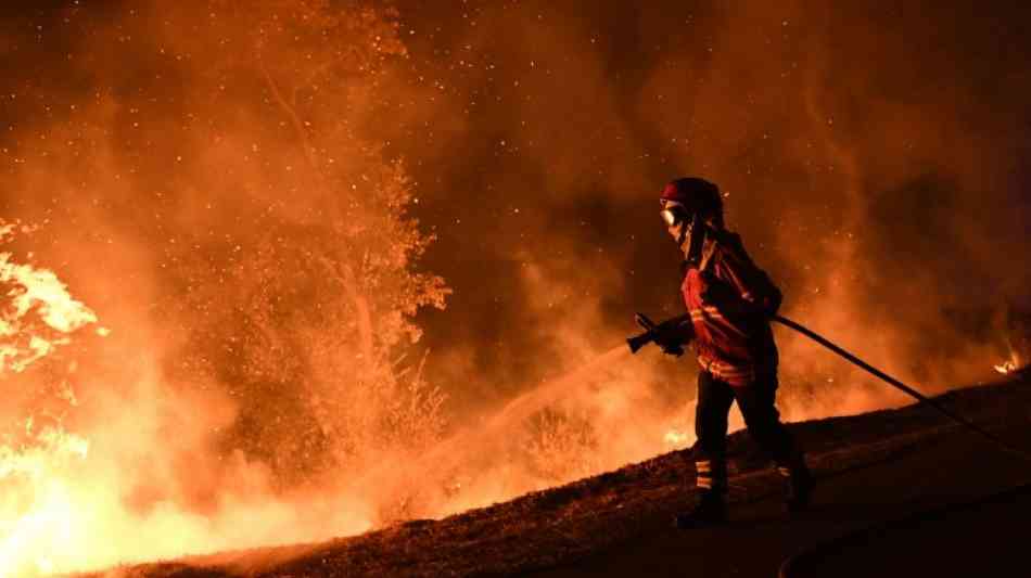 Mindestens 40 Tote bei Waldbr