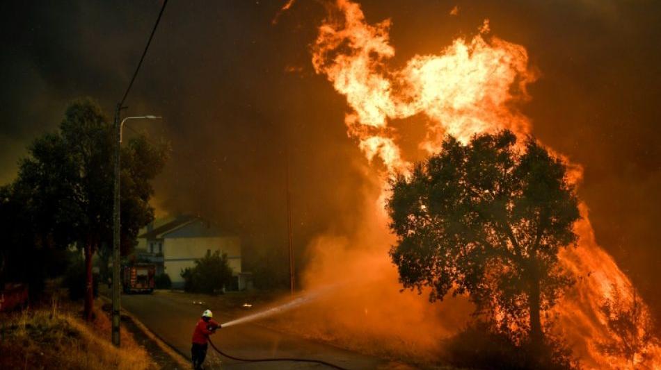 Katastrophen: 80 schwere Waldbrände wüten aktuell in Portugal 