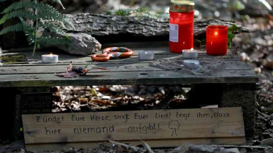 Reul: Besetzer im Hambacher Forst sollten freiwillig Baumhäuser verlassen