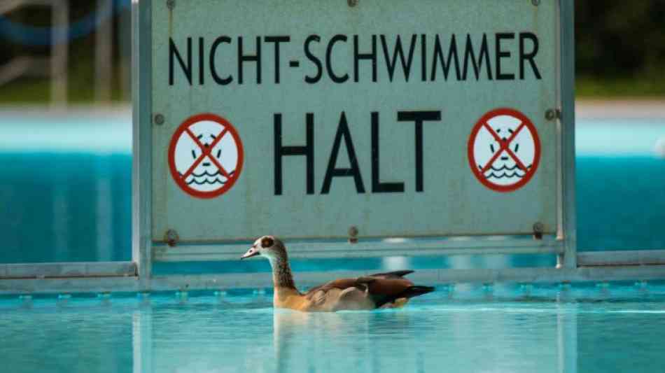 DLRG und Bundeselternkammer fordern Schwimmunterricht für alle Grundschüler ein