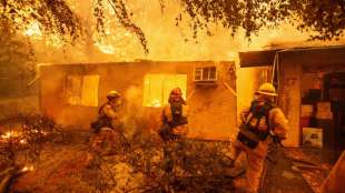 Stromleitungen lösten tödlichen Waldbrand in Nordkalifornien aus