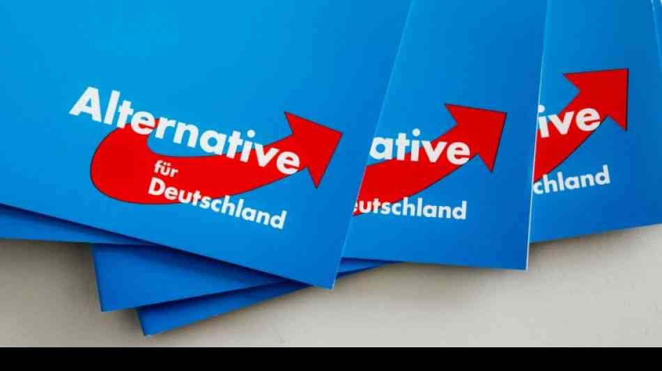 Berlin: AfD will mit einer Gro