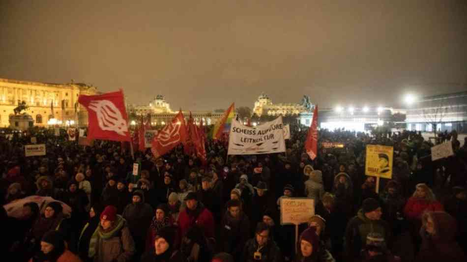 Demonstration ein Jahr nach Bildung von rechtsgerichteter Regierung in Wien