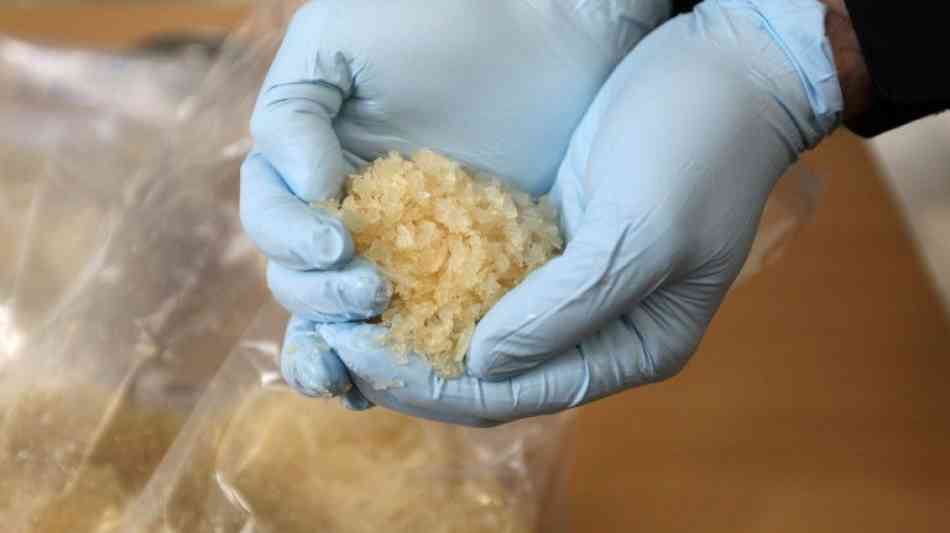 Drogenfund: Armee in Mexiko beschlagnahmt 50 Tonnen Crystal Meth