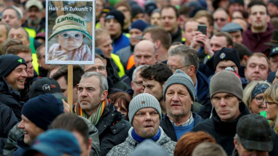 Grünen-Chef Habeck zeigt Verständnis für Bauernproteste 
