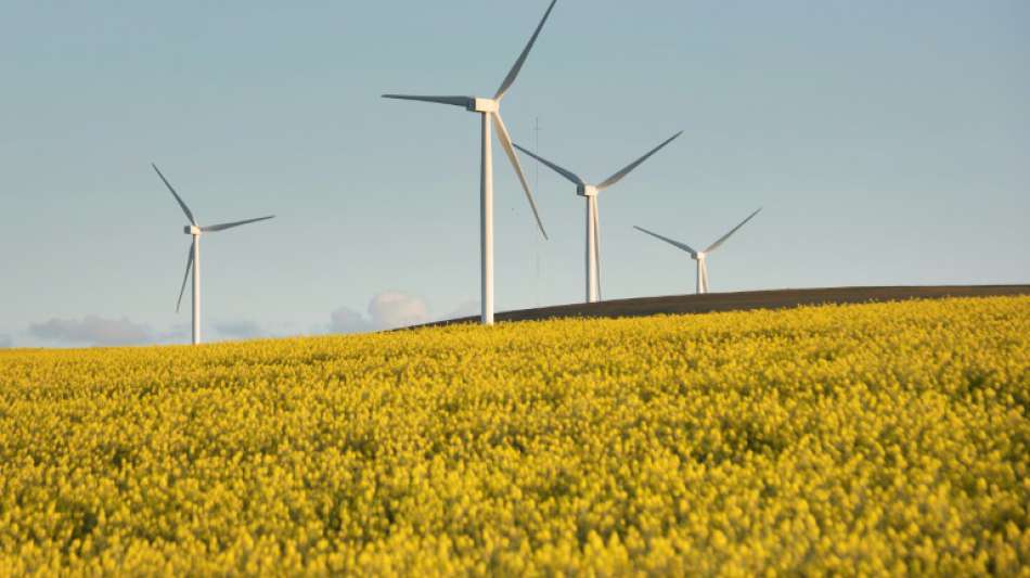 Bundesverband Windenergie fordert bessere Rahmenbedingungen für Windkraftausbau