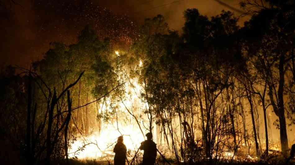 Tausende Hektar Wald stehen nach australischem Rekord-Sommer in Flammen