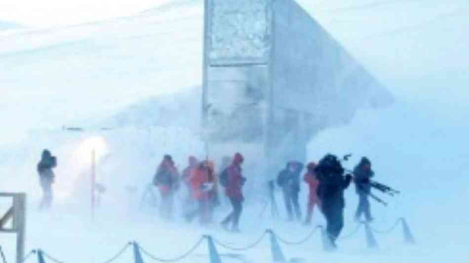 In Eislager auf Spitzbergen eine Million Pflanzensamen gebunkert