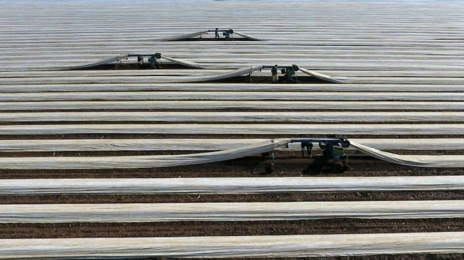 Hessisches Landwirtschaftsministerium befürchtet Engpass bei Erntehelfern