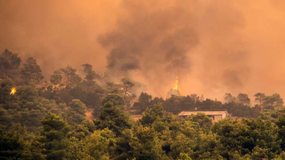 Griechischer Regierungschef bricht wegen Waldbrands auf Insel Euböa Urlaub ab