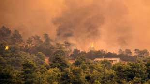 Griechischer Regierungschef bricht wegen Waldbrands auf Insel Euböa Urlaub ab