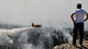 Feuerwehr kämpft weiter gegen Waldbrand auf griechischer Insel Euböa