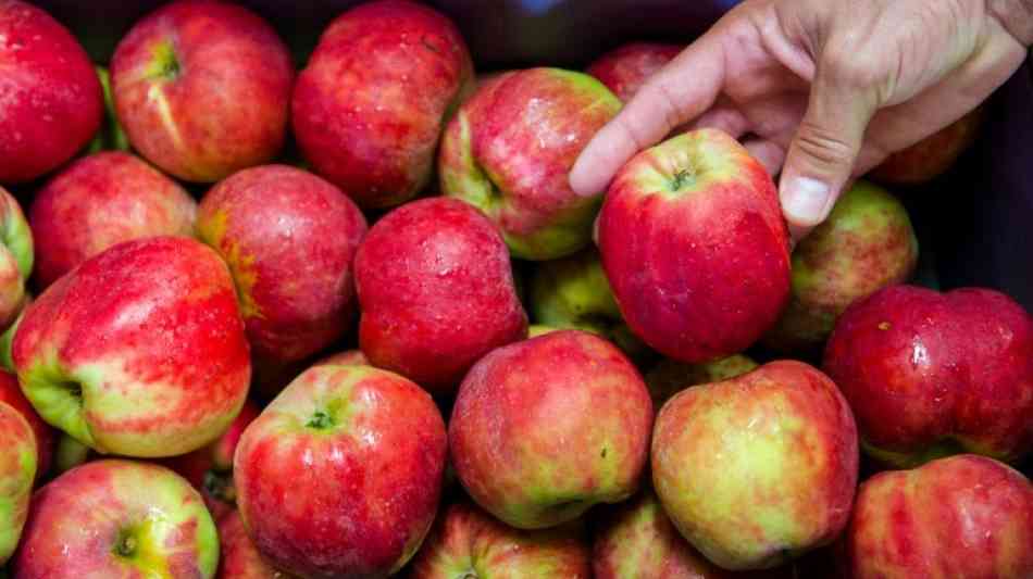 Stiftung Warentest: Nur eine von 24 Apfelschorlen im Test ist gut 