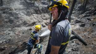 Wieder Waldbrand auf Gran Canaria ausgebrochen