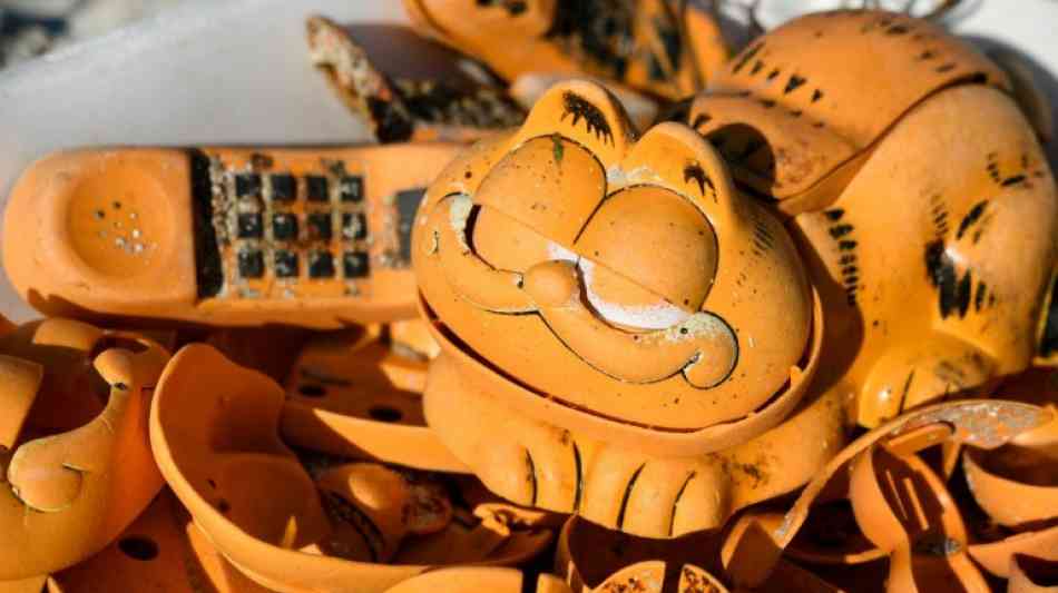 Rätsel um angeschwemmte Garfield-Telefone ist gelöst