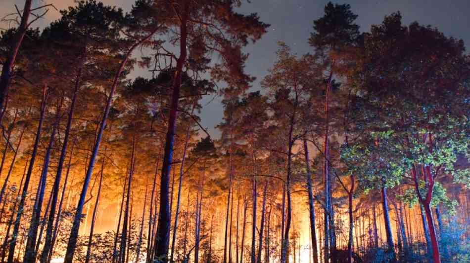 Waldbrand in Brandenburg vorerst leicht einged
