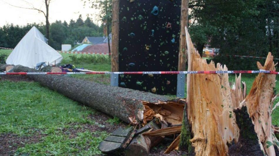 15-Jähriger in Zeltlager im Schwarzwald von Baum erschlagen