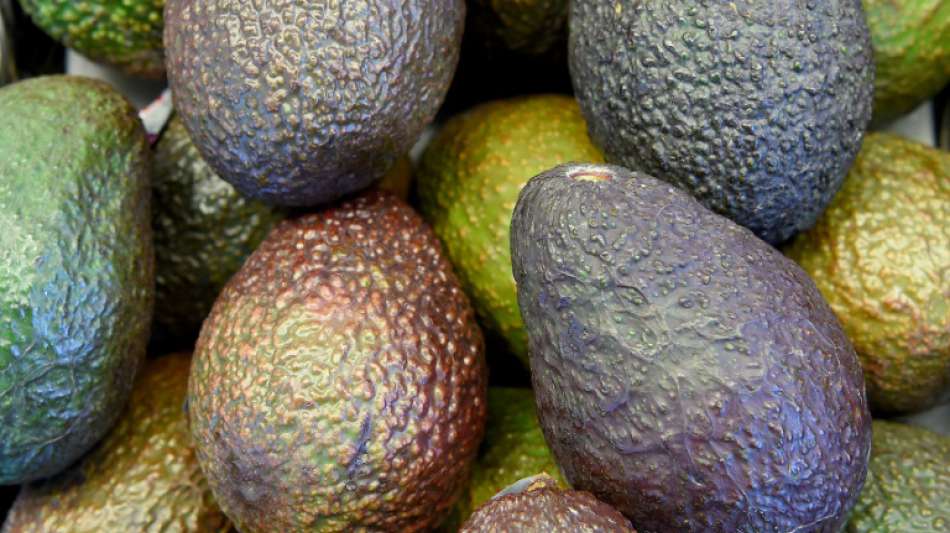 Avocado-Importe haben sich seit 2008 fast verfünffacht