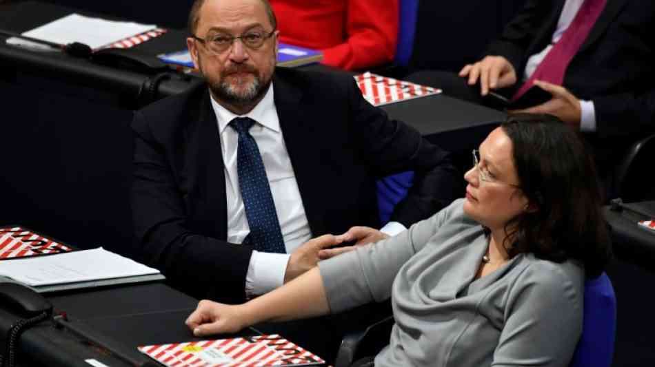 Andrea Nahles gegen Direktwahl des SPD-Vorsitzenden