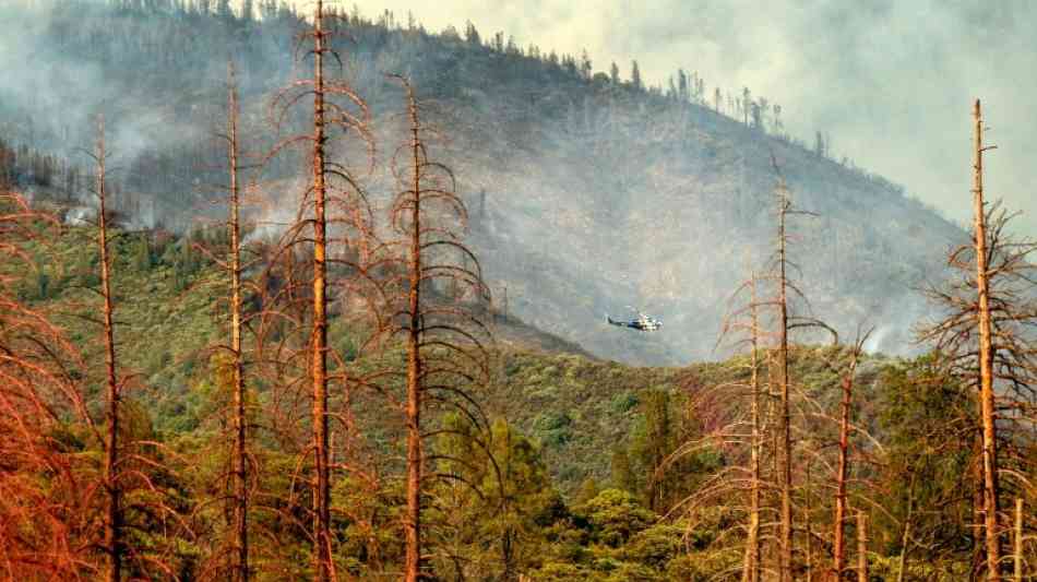Yosemite-Nationalpark in Kalifornien wird wegen Waldbrands teilweise geschlossen