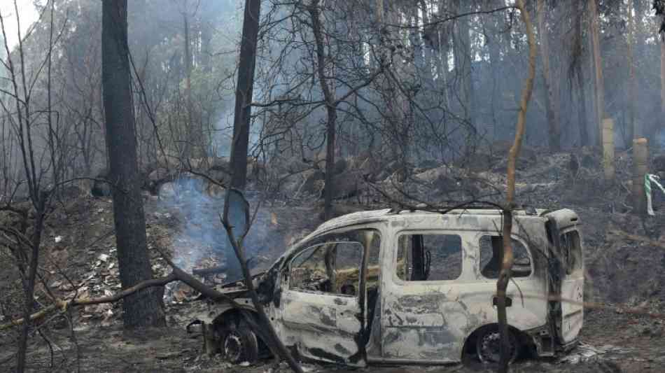 Mehr als 30 Tote bei Waldbr