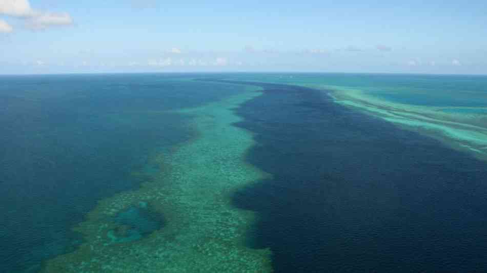 Verletzter bei erneuter Hai-Attacke am Great Barrier Reef