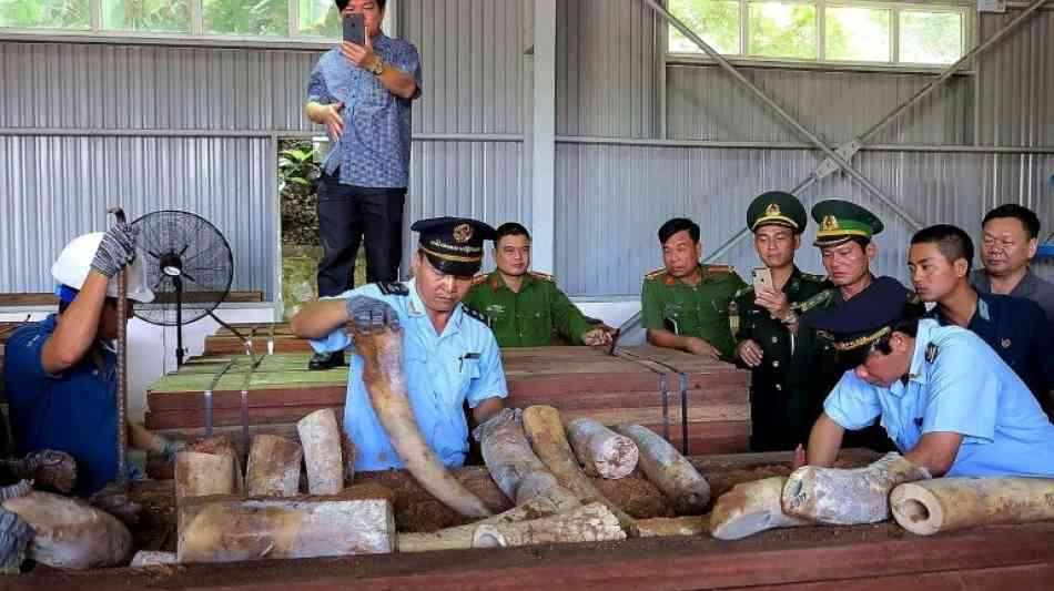 Mehr als neun Tonnen mutmaßliches Elfenbein in Vietnam sichergestellt