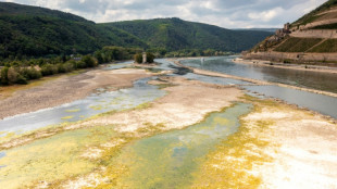 EU-Agentur: Europas Wasserversorgung durch Verschmutzung und Klimawandel in Gefahr