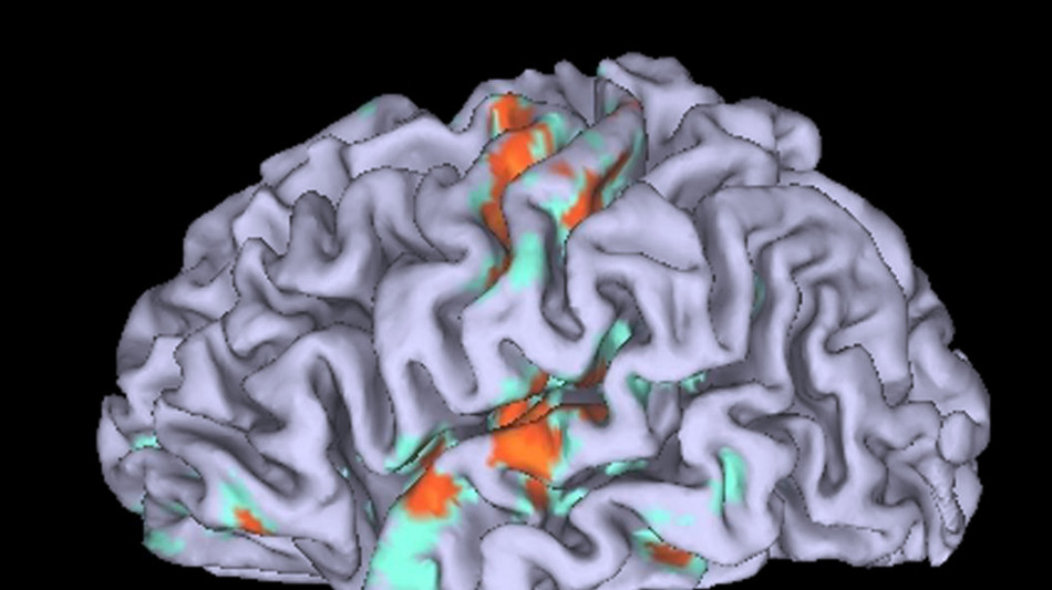  Trovato il circuito cerebrale che collega respiro ed emozioni 