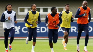 Foot: Premier tour de chauffe pour les Bleus avant l'Euro  