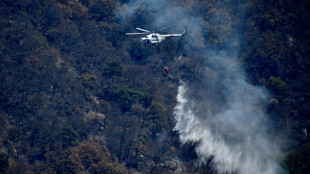 Trois incendies au Mexique touchée par la sécheresse