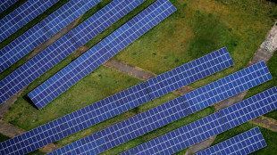 Immer mehr Solaranlagen auf deutschen Dächern