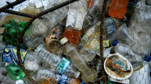 Greenpeace: Deutscher Plastikmüll landet weiterhin illegal im Ausland