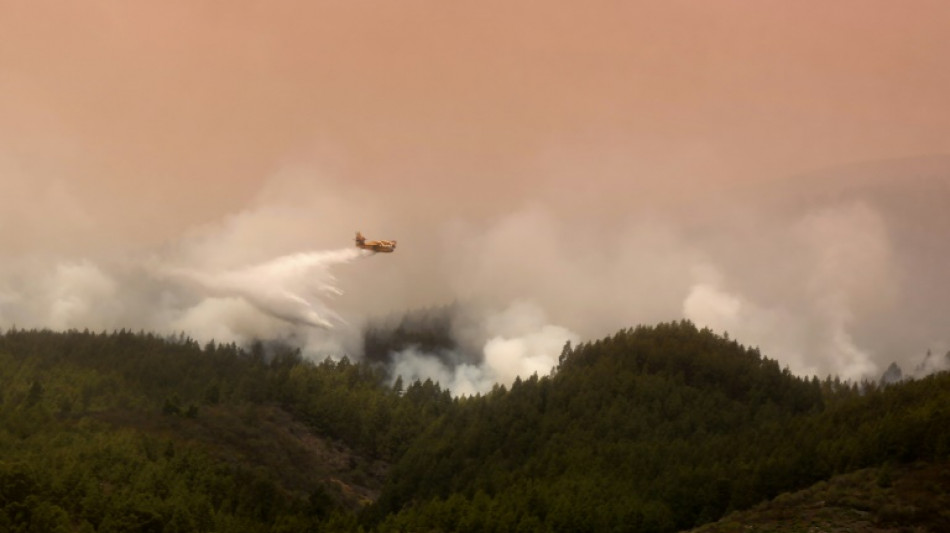 Evacúan a 3.000 personas por incendio en isla española de Tenerife