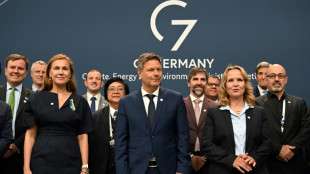 Lemke: G7-Staaten haben konkrete Vereinbarungen zum Kohleausstieg getroffen
