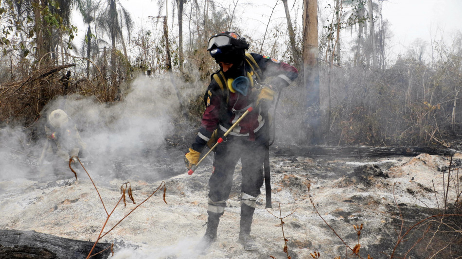 Dal Brasile alla Bolivia, è record di incendi in Sud America