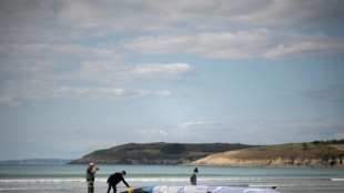 Dritter gestrandeter Wal in der Bretagne findet ins Meer zurück