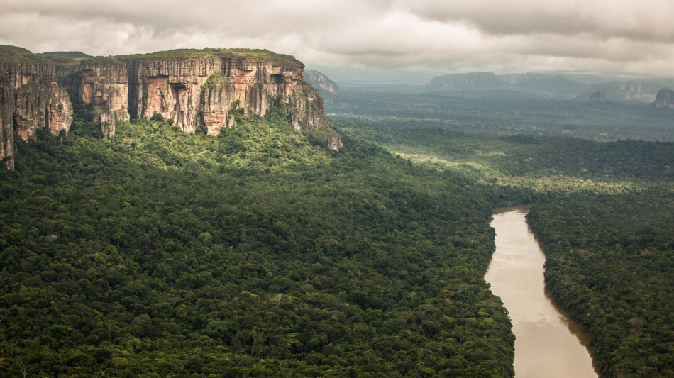 'Crimine organizzato dietro ai reati ambientali in Amazzonia'